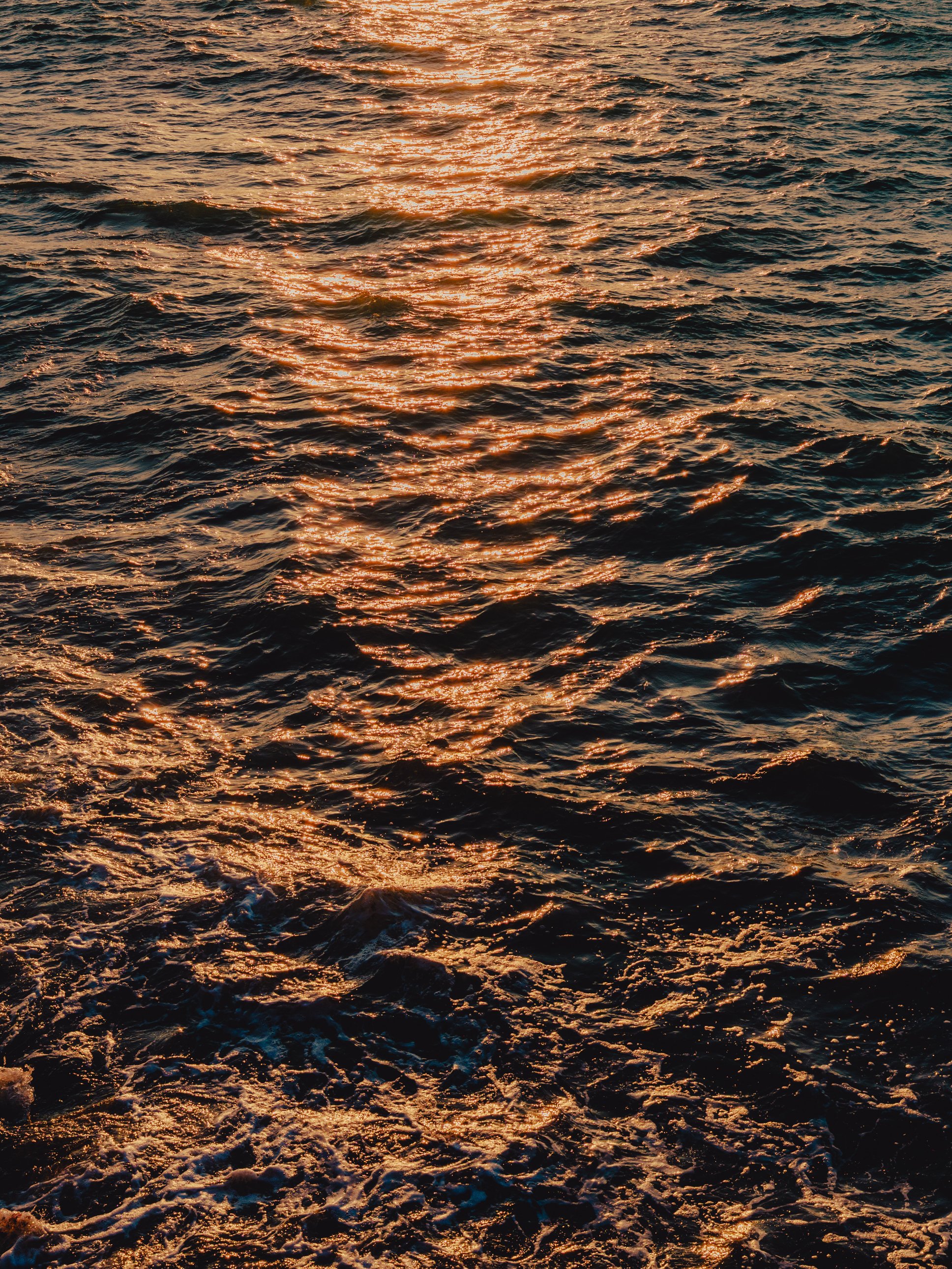 DSCF6683.jpg