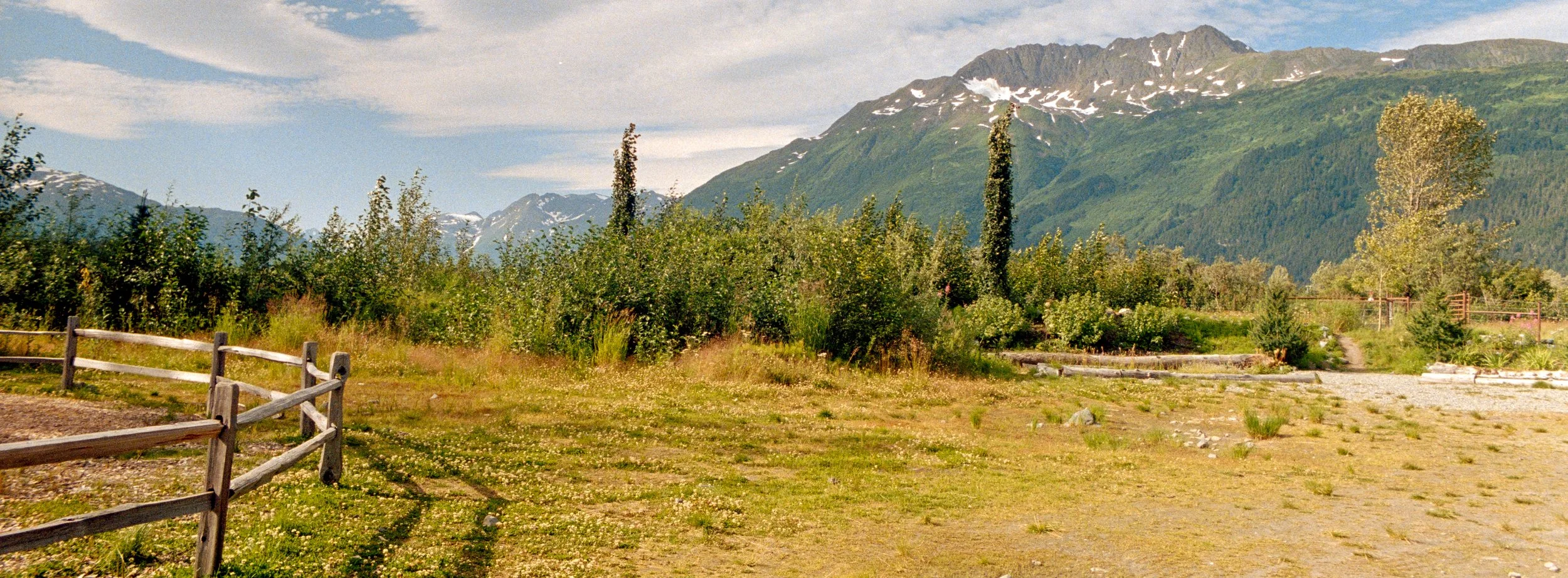 Portra800-15.jpg