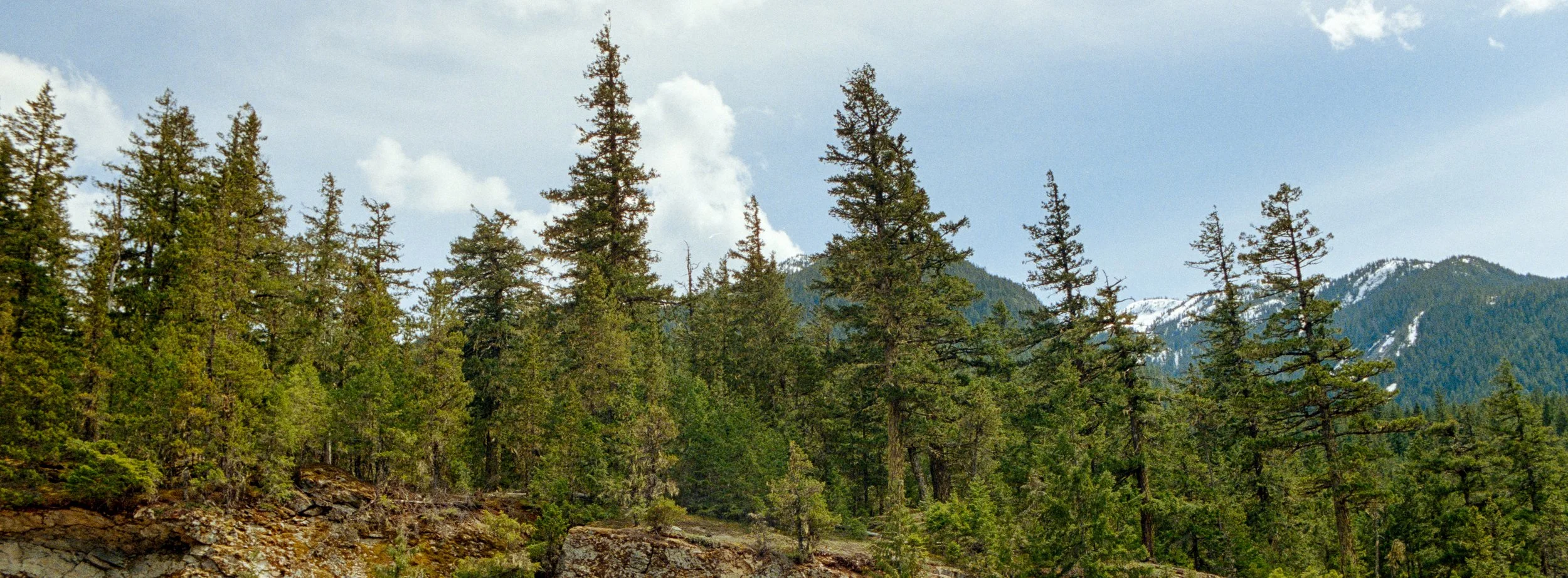 Portra800-154.jpg