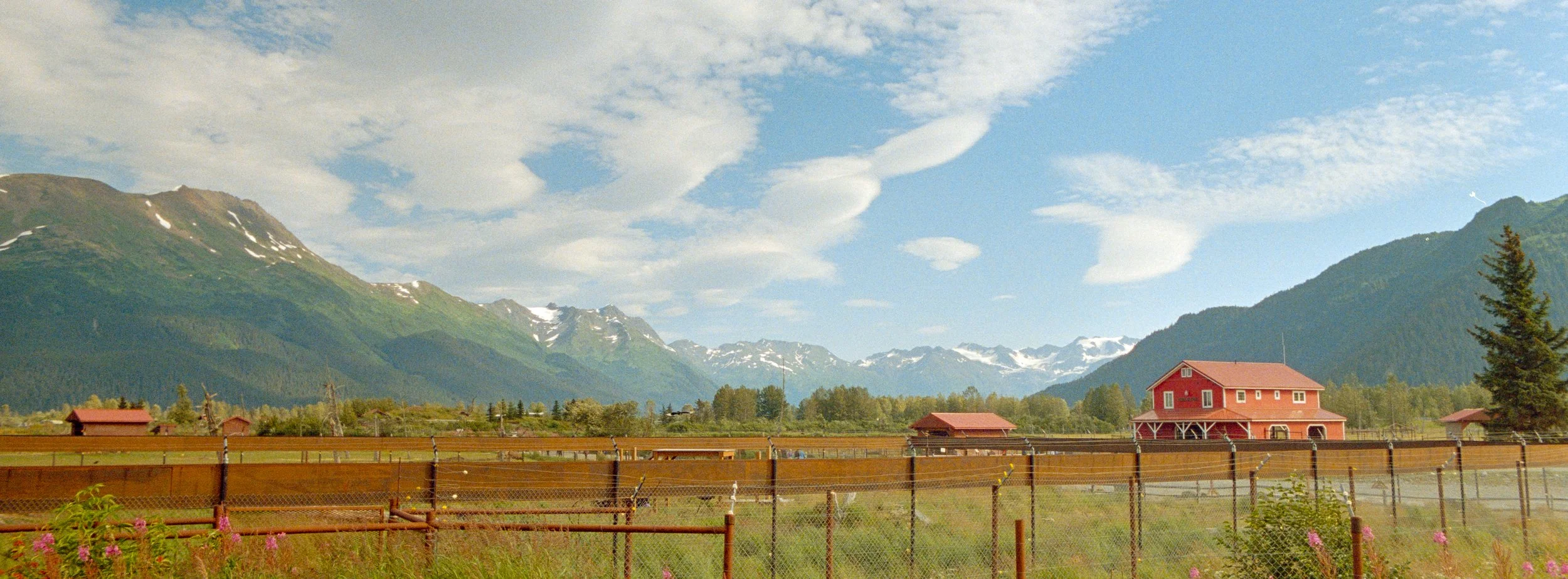 Portra800-11.jpg