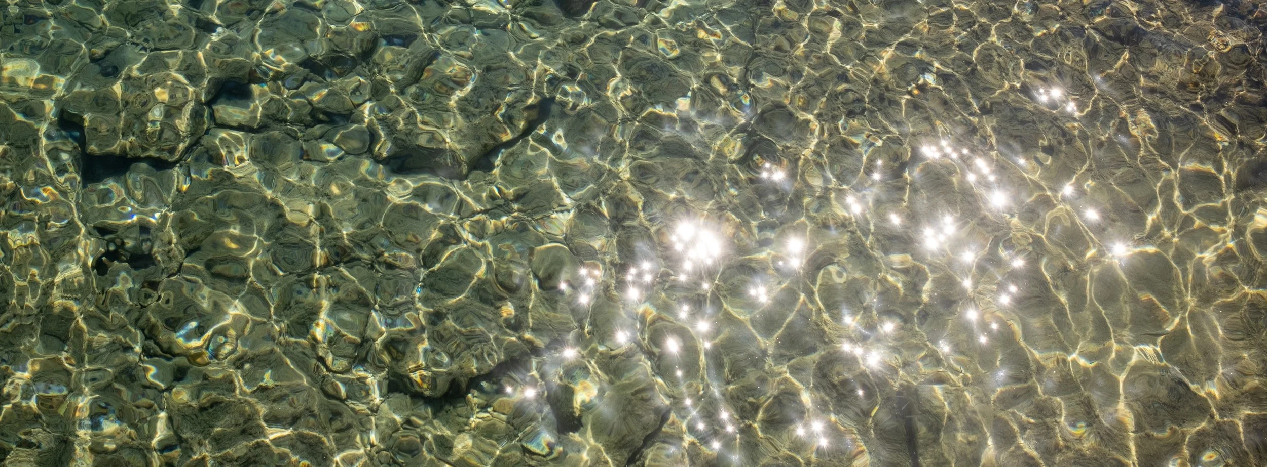 DSCF7517.jpg