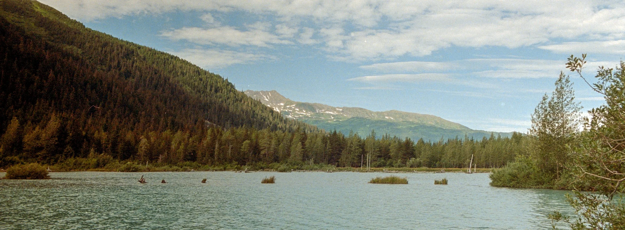 Portra800-19.jpg