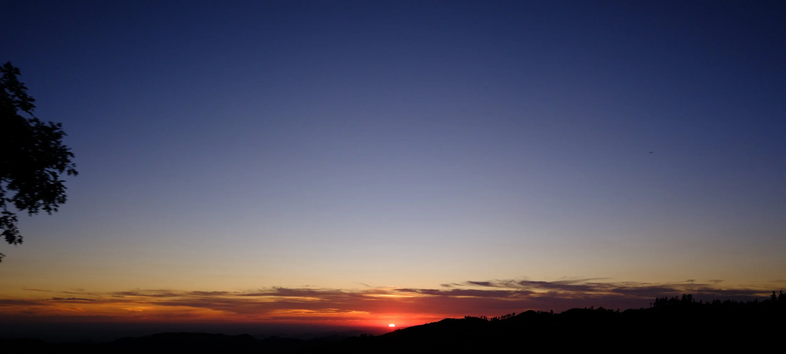 DSCF2314.jpg
