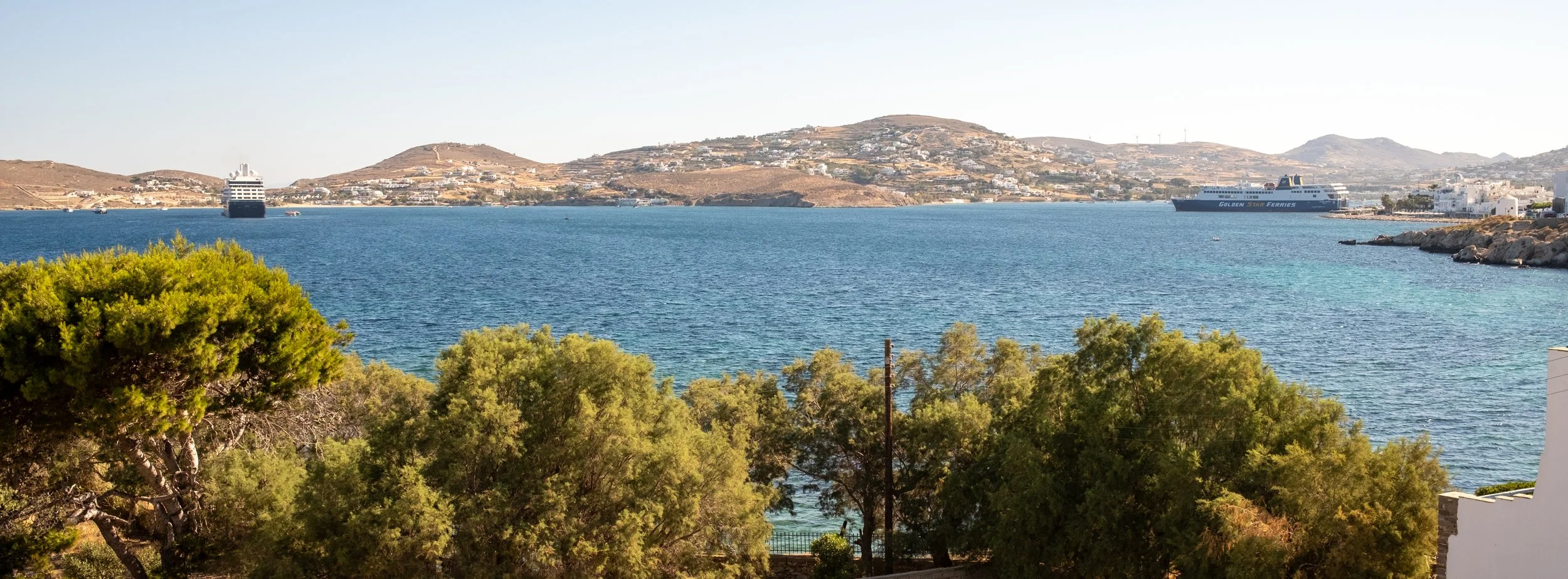 DSCF6531.jpg