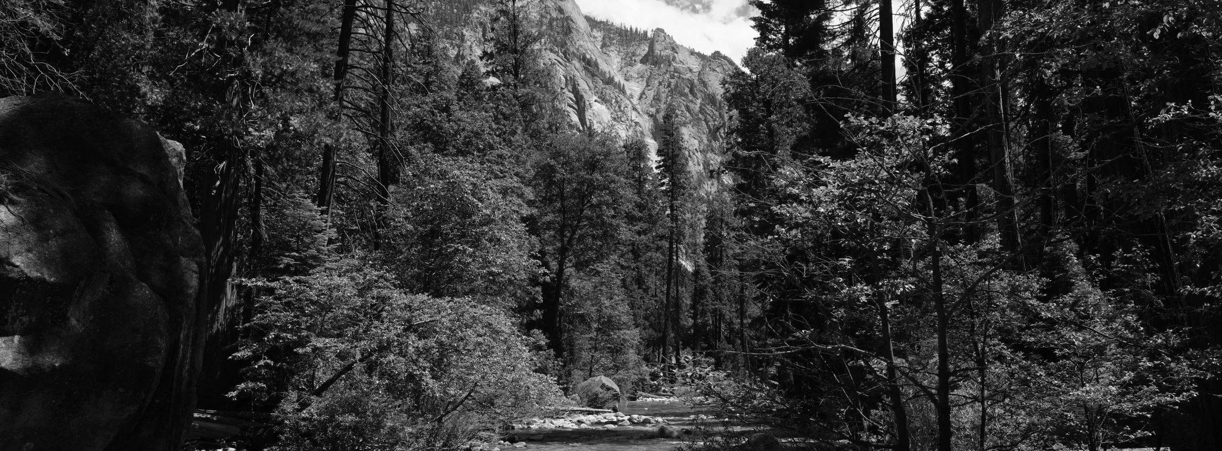 DSCF2503.jpg
