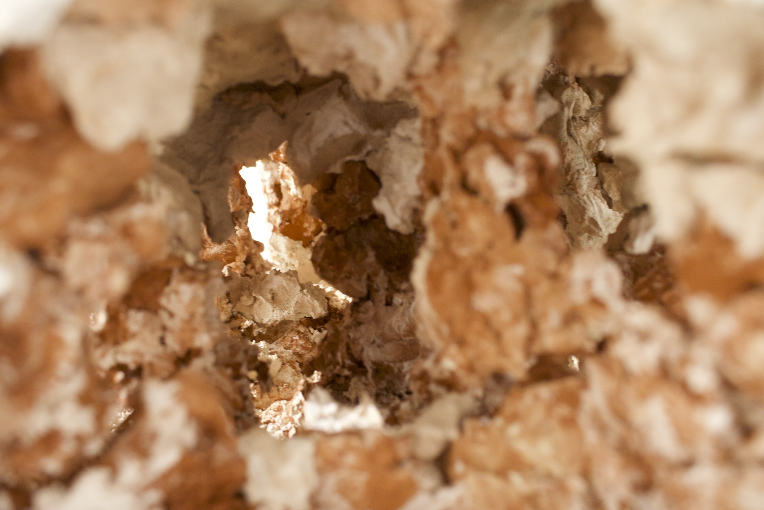 Exploring Cavernous Blocks of Stagnation
(2026)
- Terracotta, Stoneware, and Porcelain - 
18” x 36” x 11”
