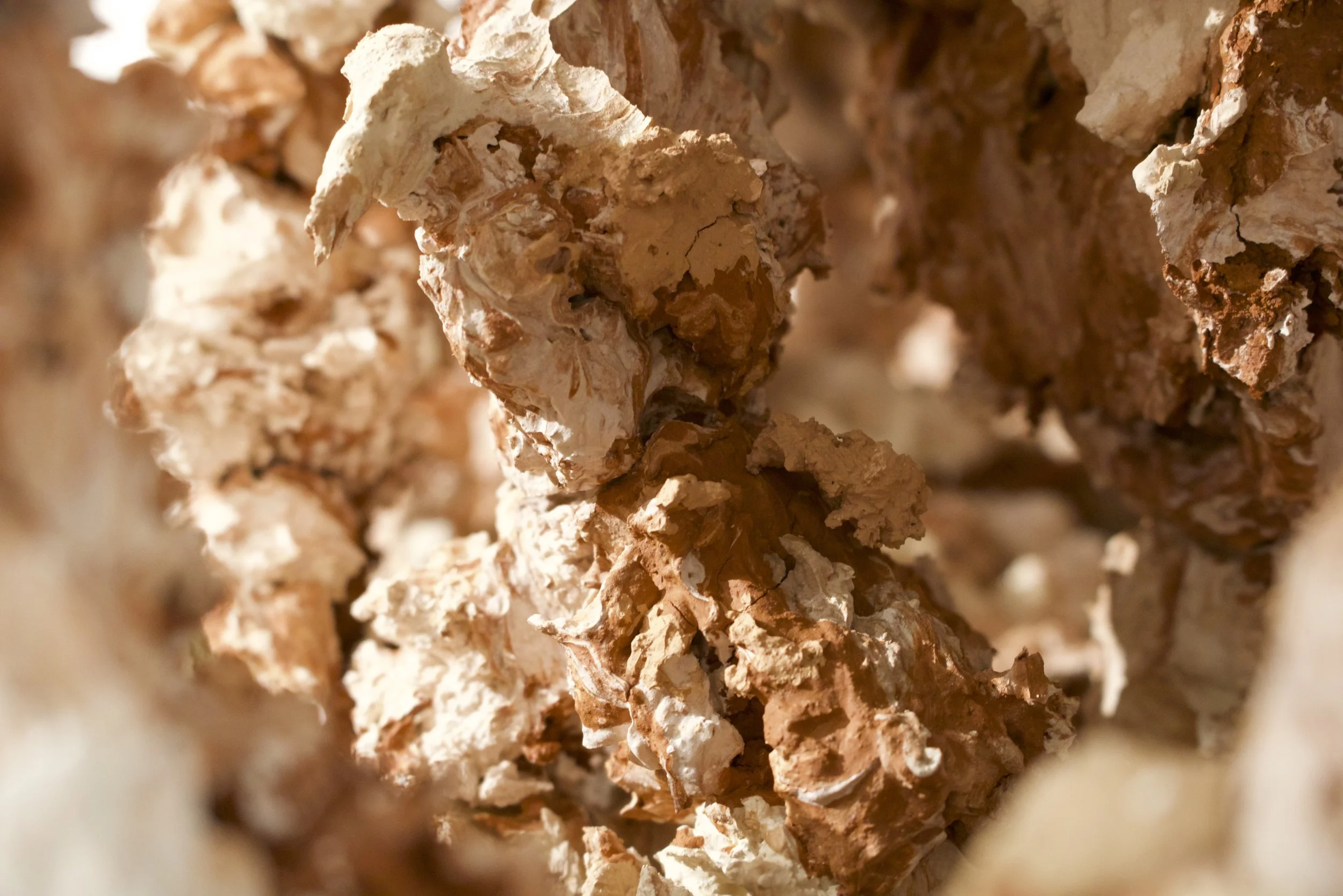 Exploring Cavernous Blocks of Stagnation
(2026)
- Terracotta, Stoneware, and Porcelain - 
18” x 36” x 11”