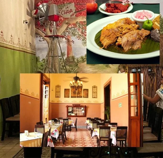 10 Must-Visit Restaurants in Mérida – A Food Lover’s Guide to the White ...