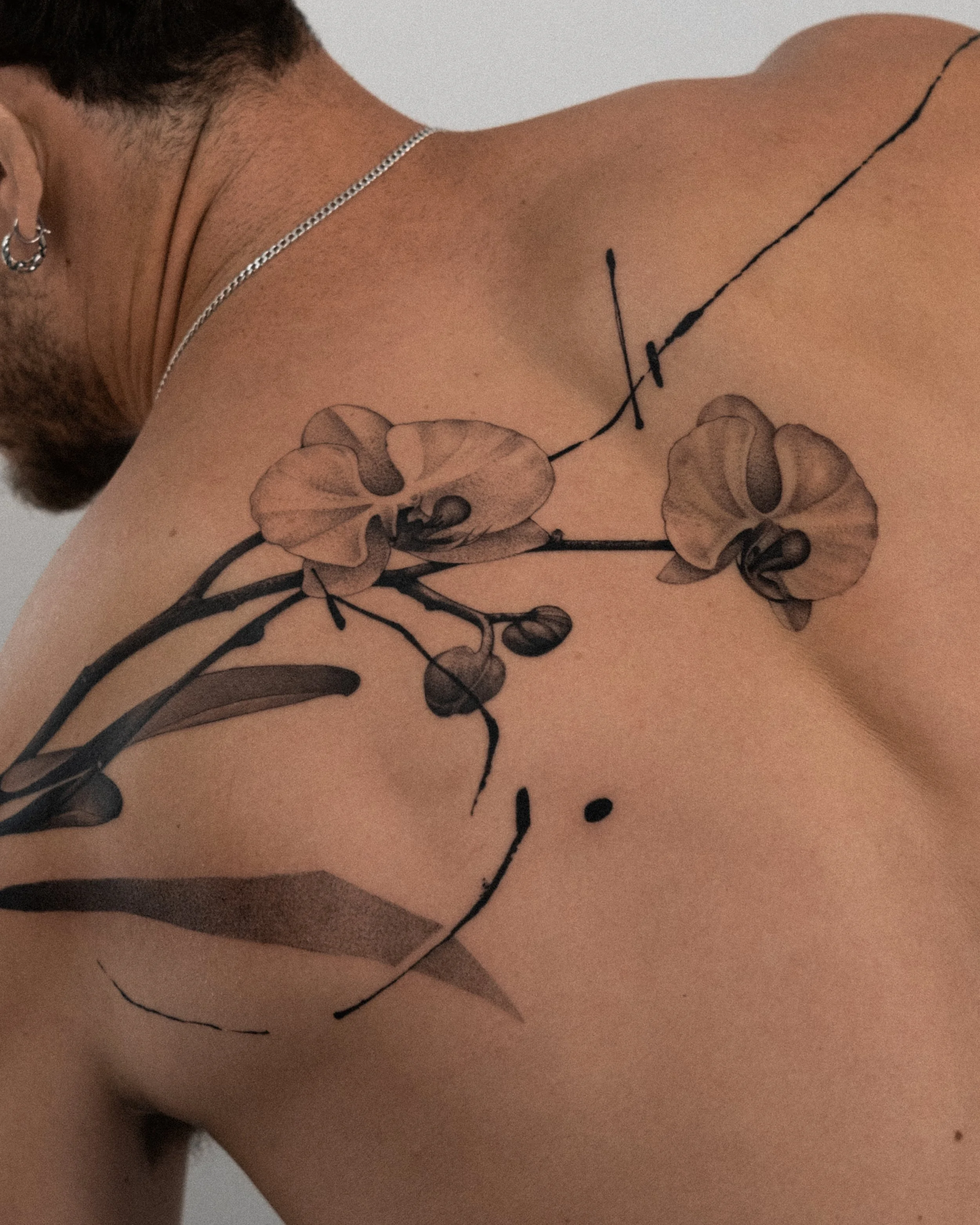 orchids for Uri
