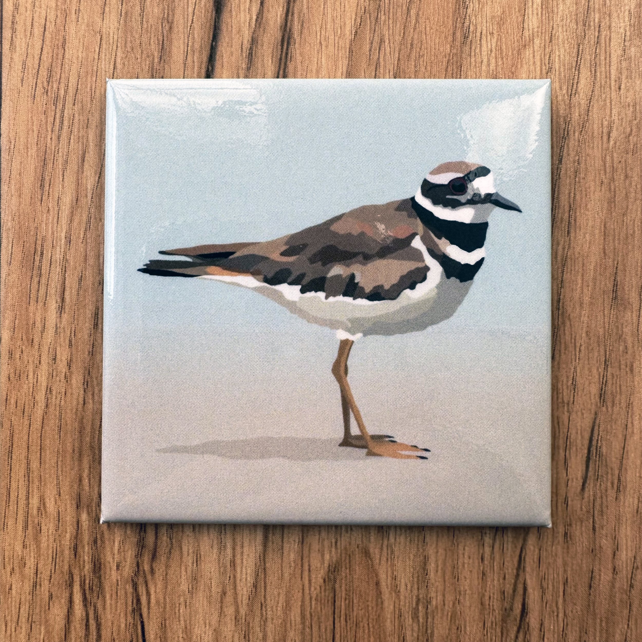 Killdeer  | 2.5x2.5" Glossy Durable Fridge Magnet