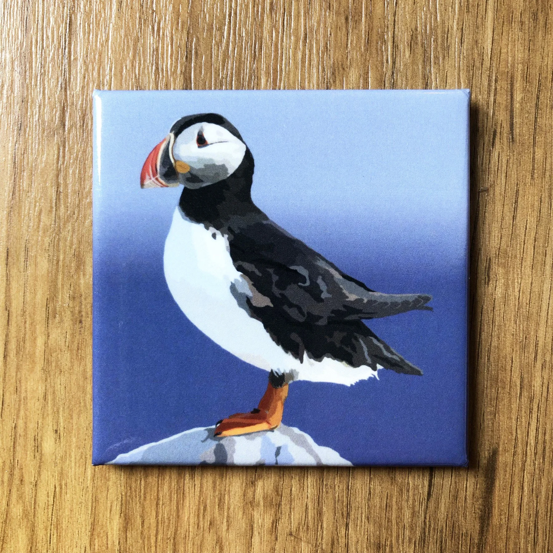 Atlantic Puffin  | 2.5x2.5" Glossy Durable Fridge Magnet
