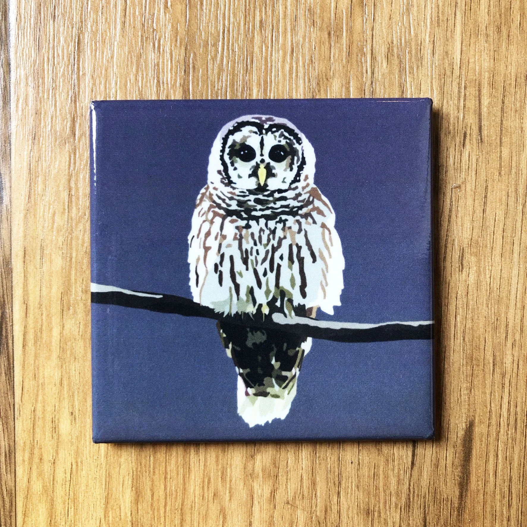 Barred Owl  | 2.5x2.5" Glossy Durable Fridge Magnet