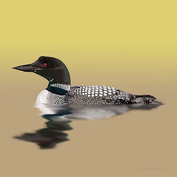Common Loon Print