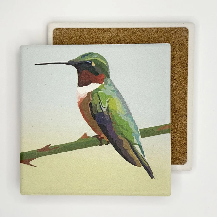 Ruby Throated Hummingbird | Absorbent Stone Coaster