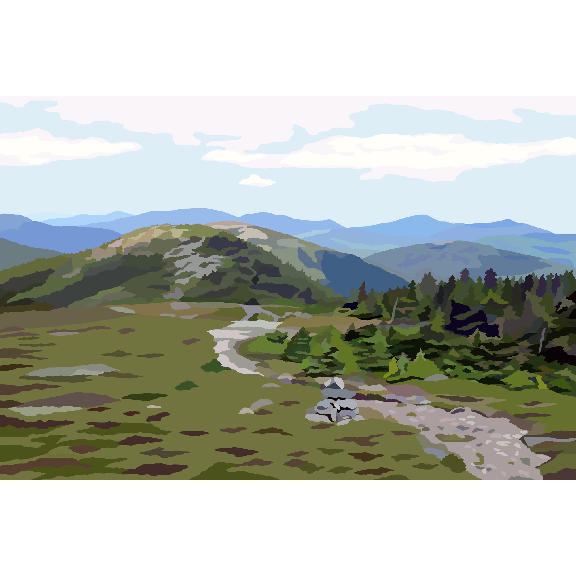 SADDLEBACK - ETSY.jpg