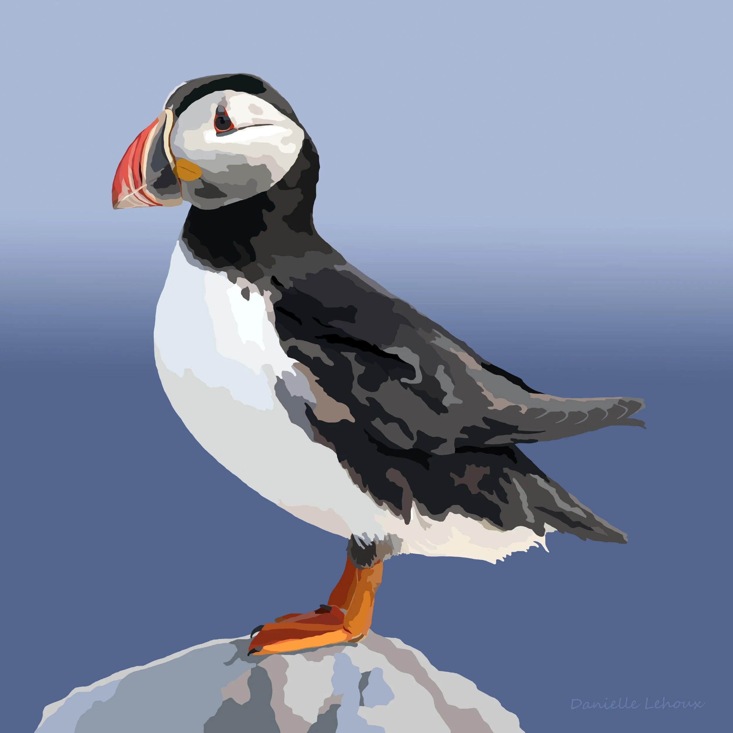Atlantic Puffin Print