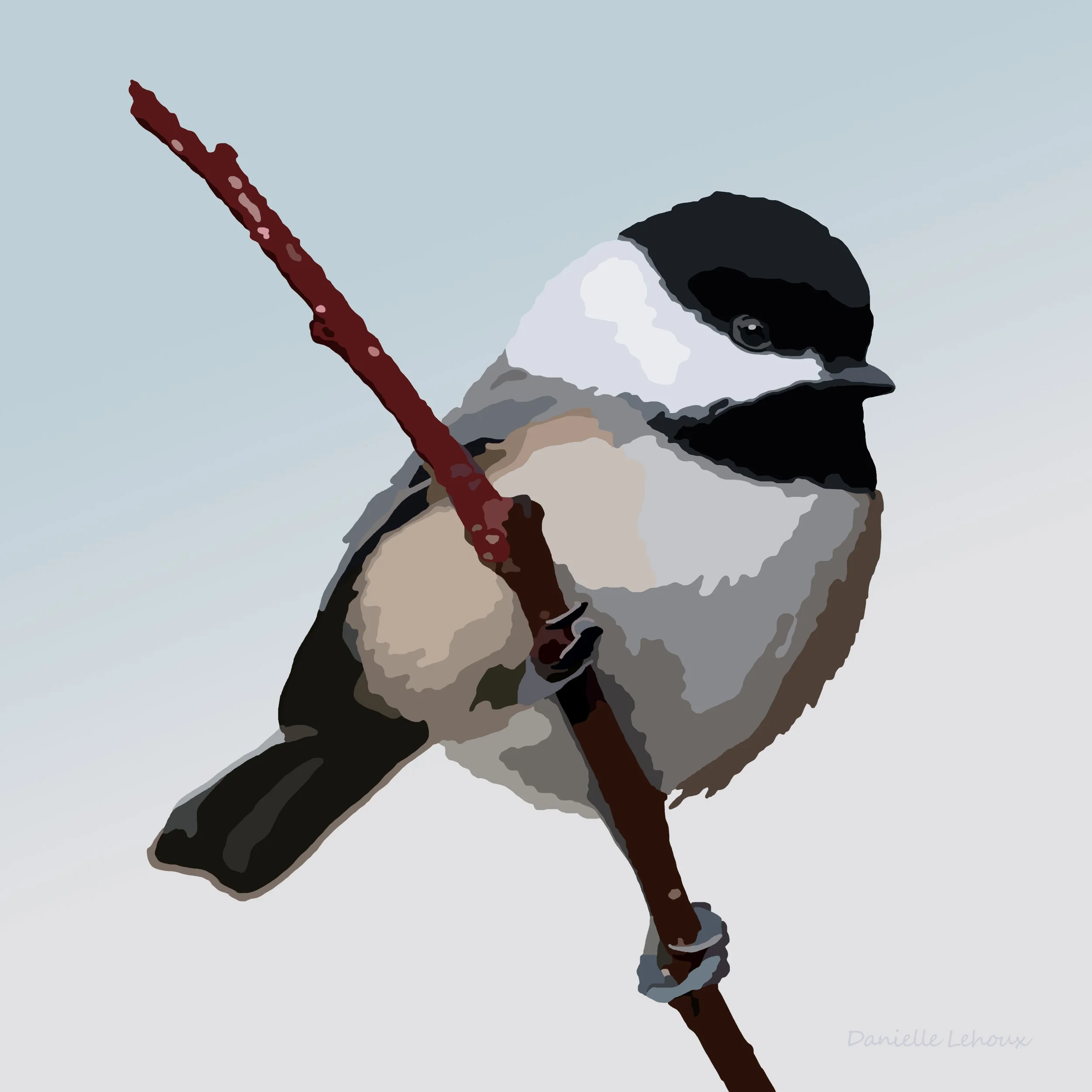 Black-capped Chickadee Print