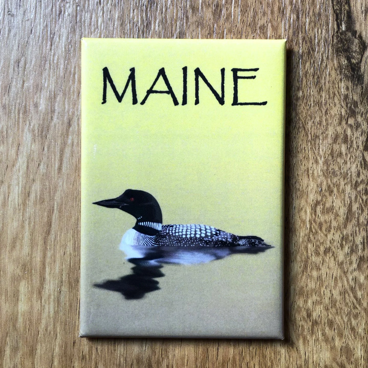 Maine Loon | 2x3" Glossy Durable Fridge Magnet