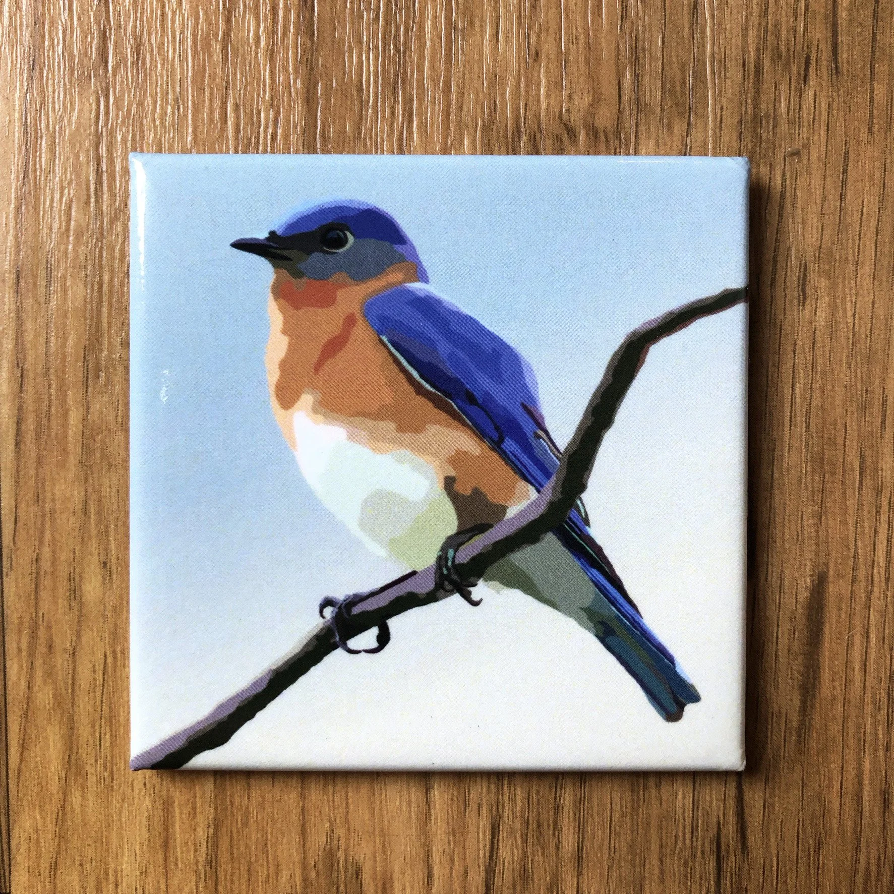 Eastern Bluebird  | 2.5x2.5" Glossy Durable Fridge Magnet