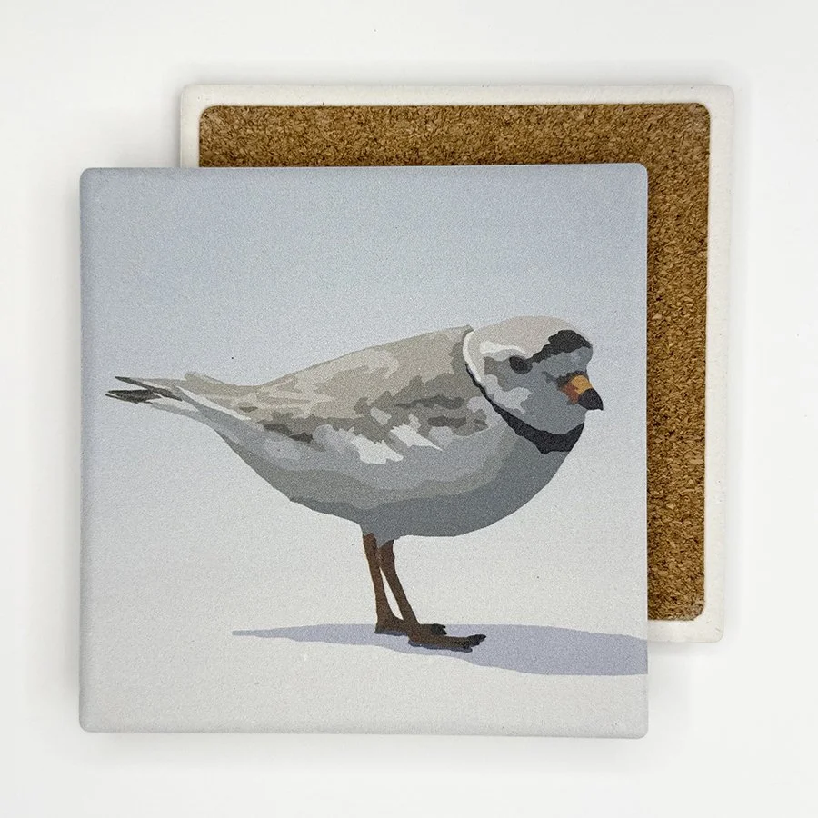 Piping Plover | Absorbent Stone Coaster
