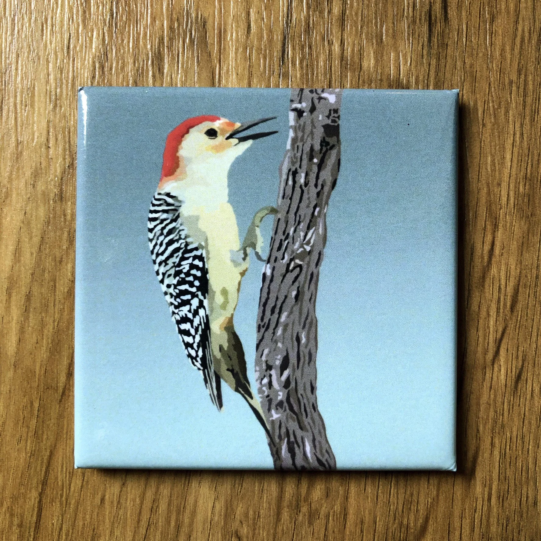 Red-bellied Woodpecker  | 2.5x2.5" Glossy Durable Fridge Magnet