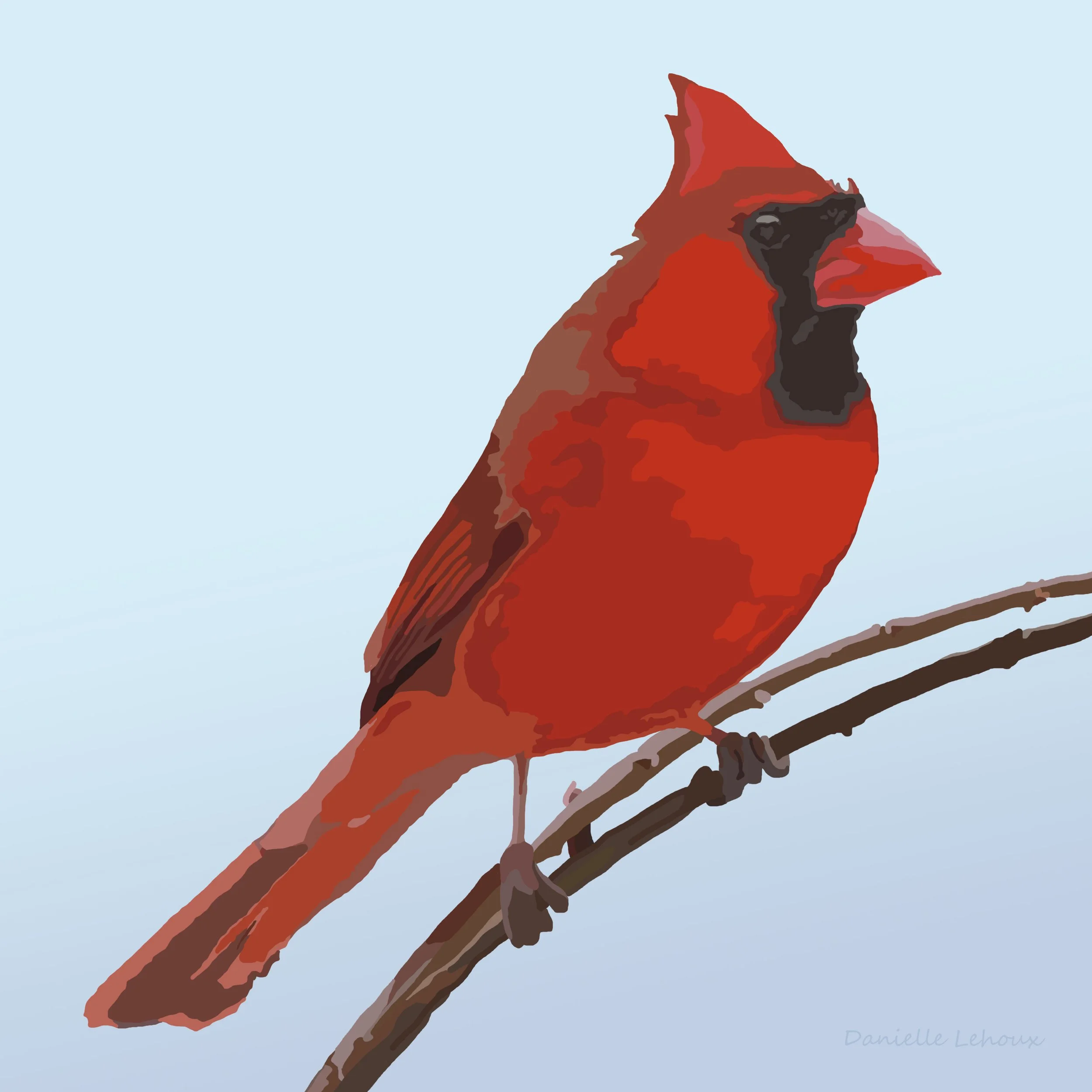 Northern Cardinal Print
