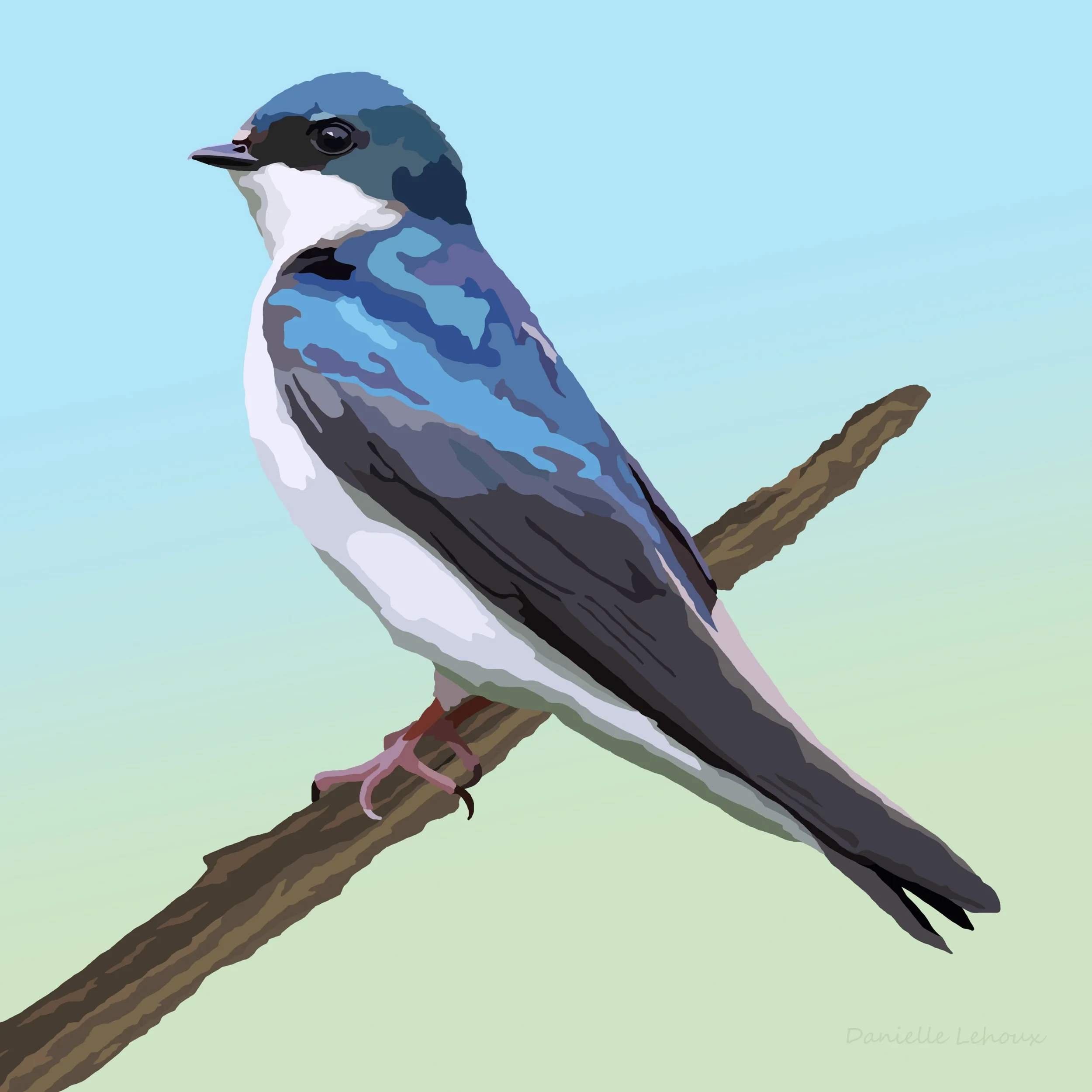 Tree Swallow Print