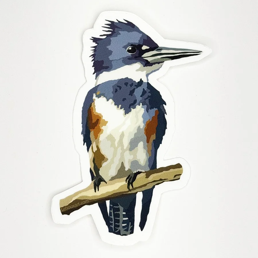 Belted Kingfisher Vinyl Decal, Waterproof & UV-Resistant