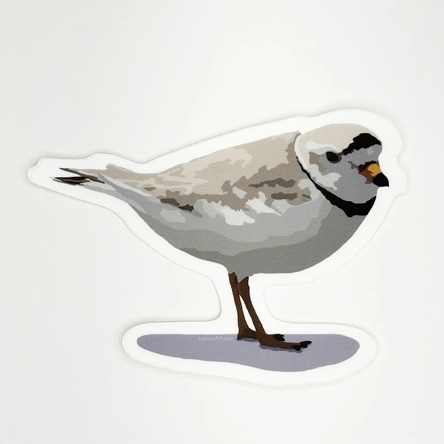 Piping Plover Vinyl Decal, Waterproof & UV-Resistant