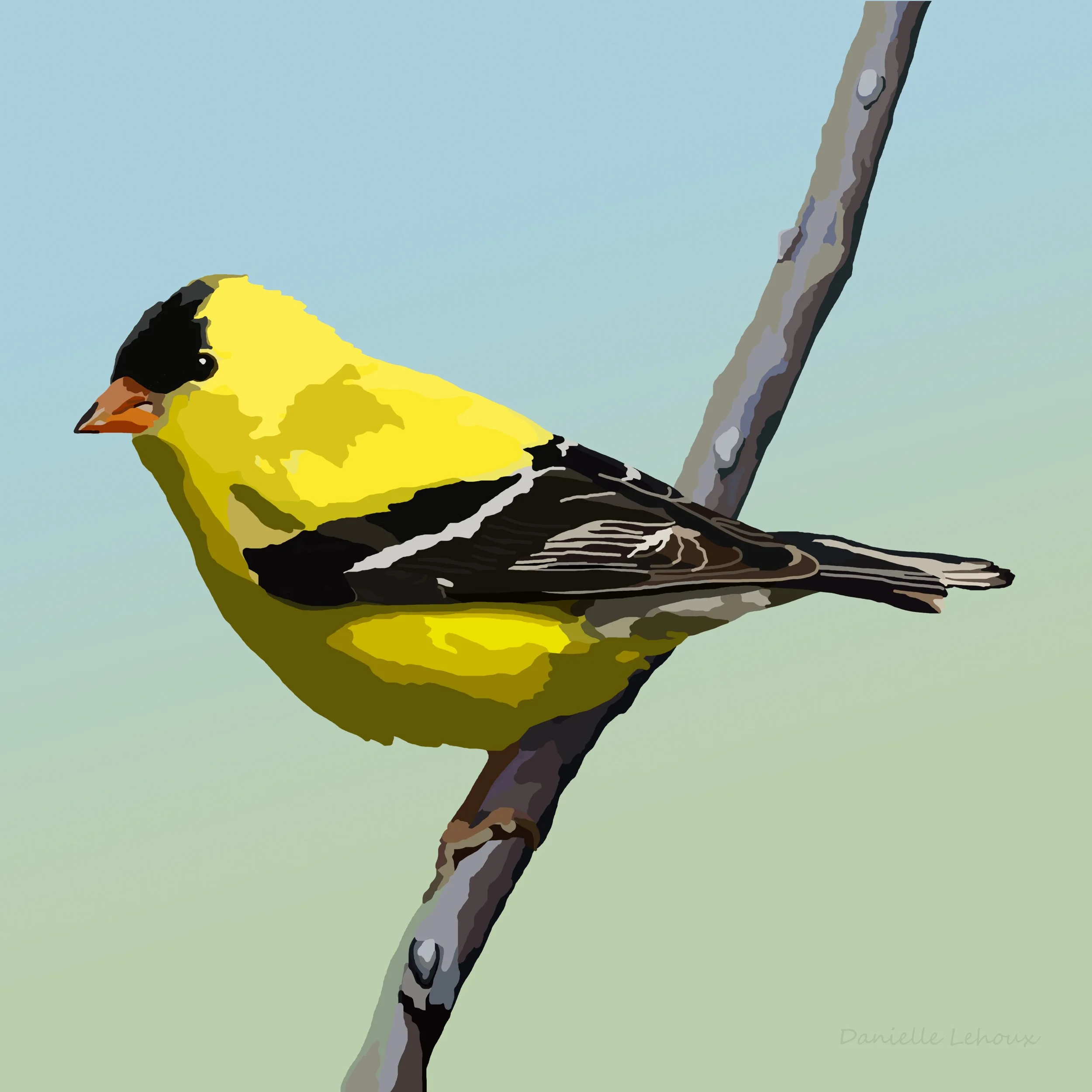 American Goldfinch Print