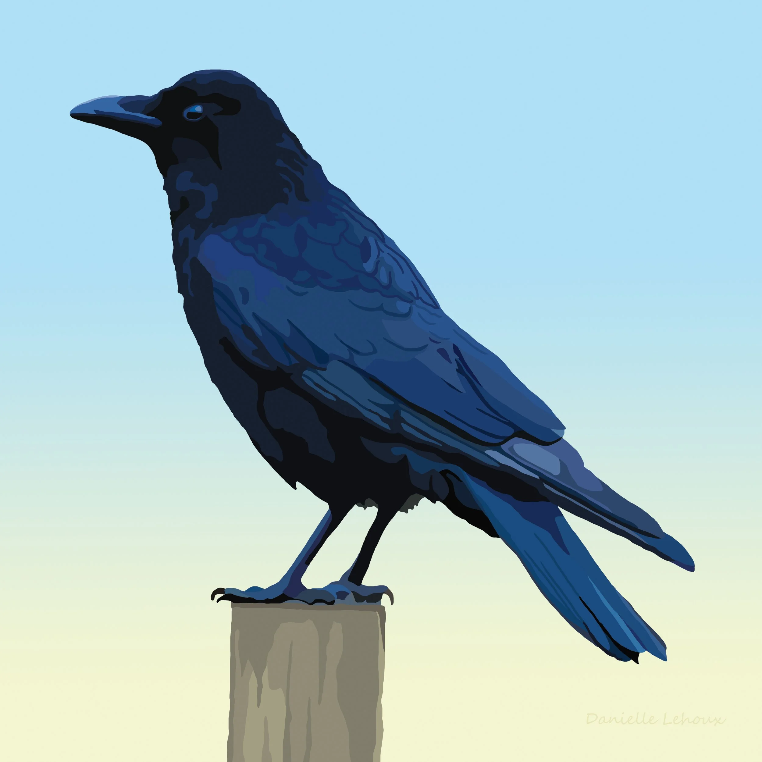 American Crow Print
