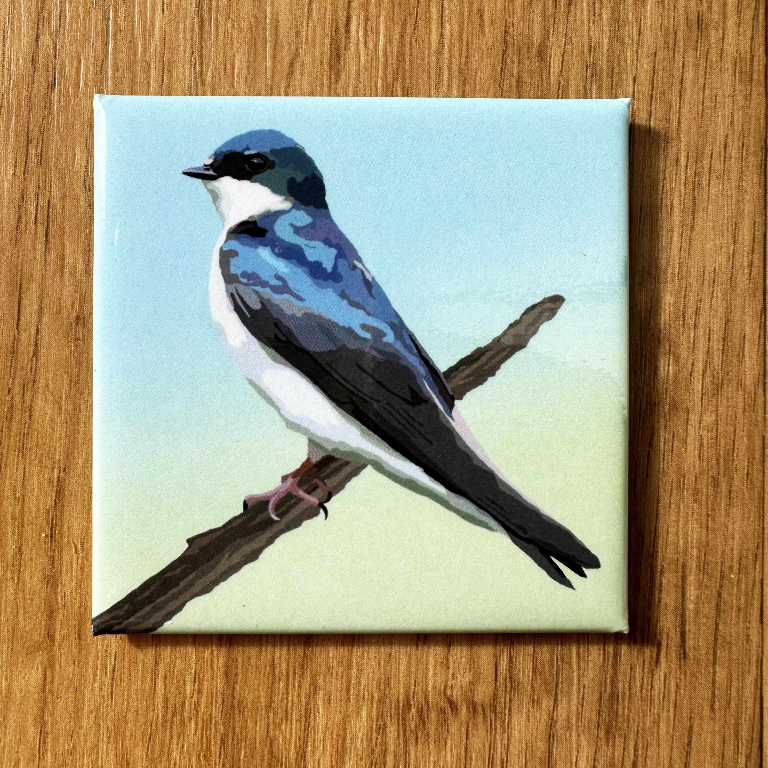 Tree Swallow  | 2.5x2.5" Glossy Durable Fridge Magnet