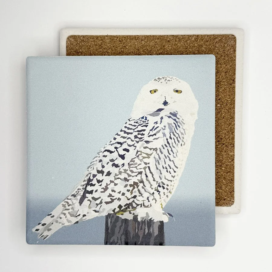Snowy Owl | Absorbent Stone Coaster