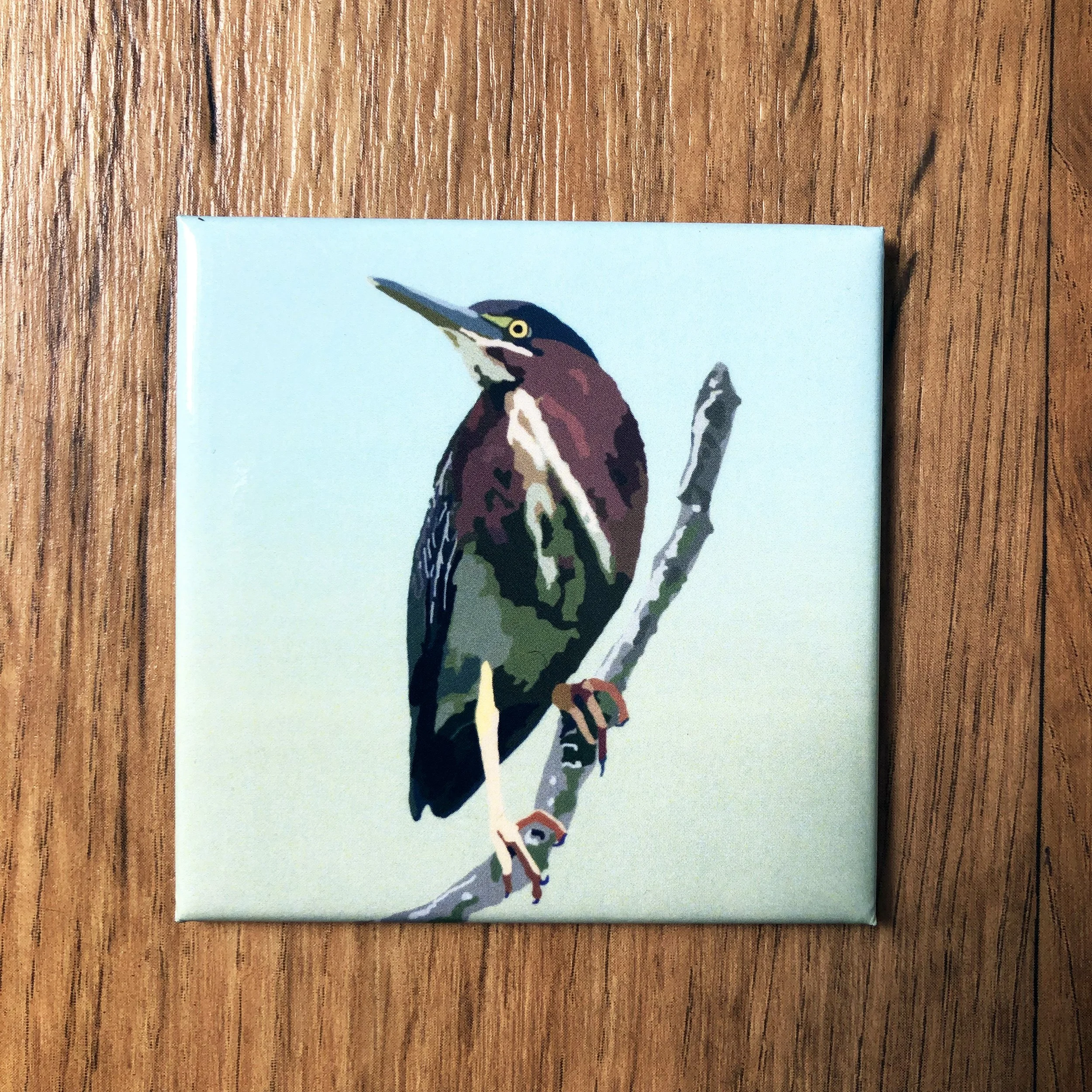 Green Heron  | 2.5x2.5" Glossy Durable Fridge Magnet