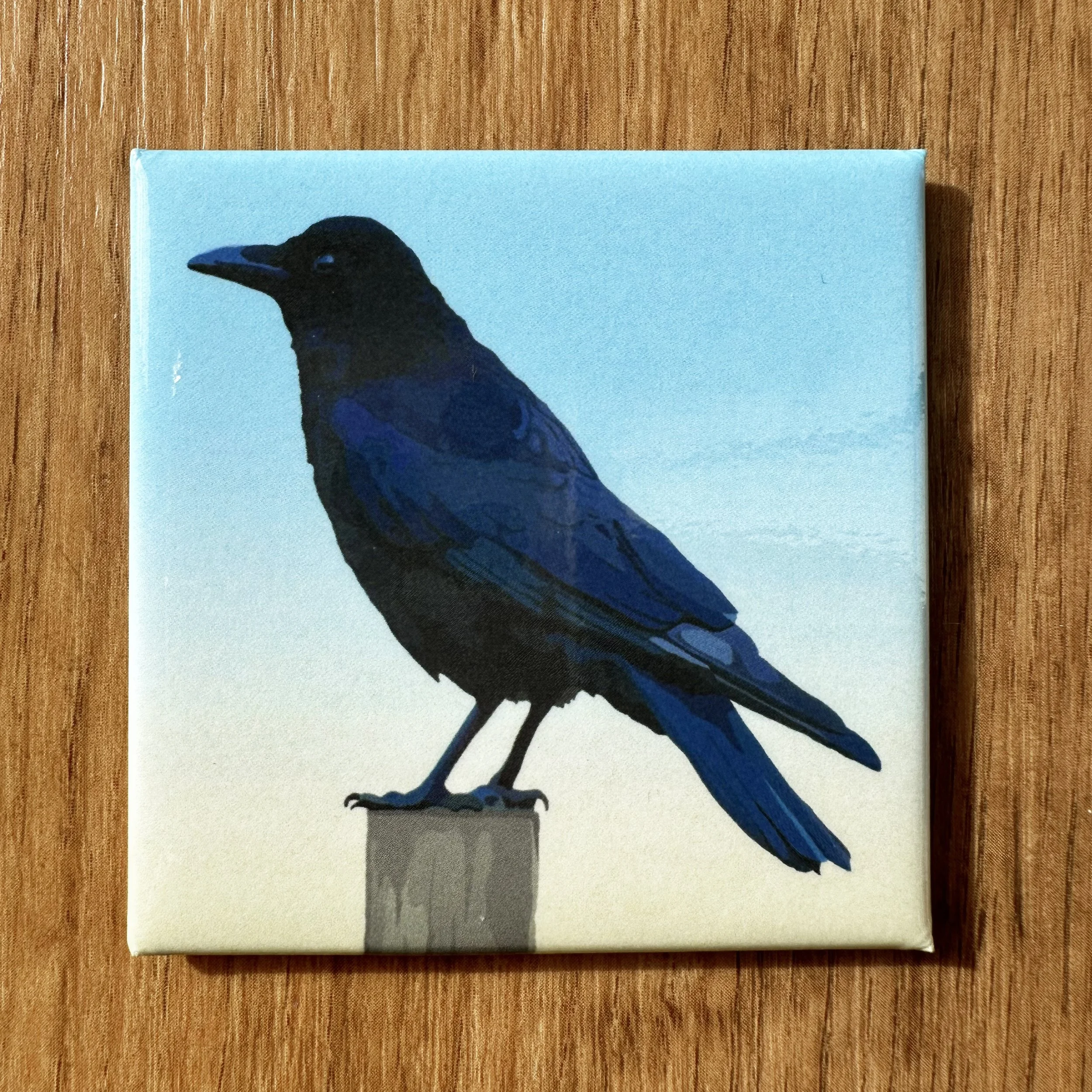 American Crow  | 2.5x2.5" Glossy Durable Fridge Magnet