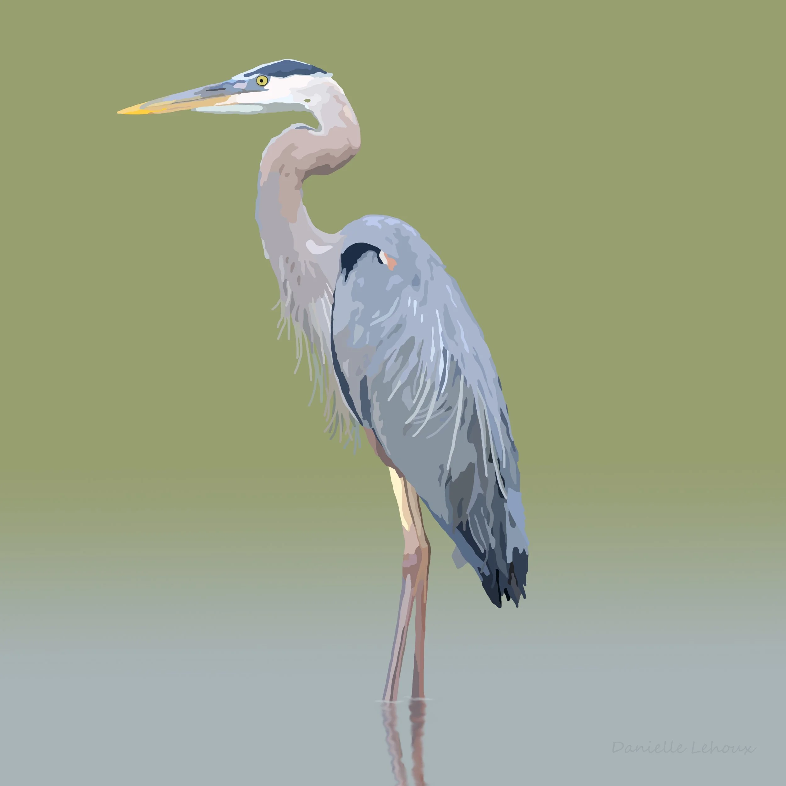Great Blue Heron Print