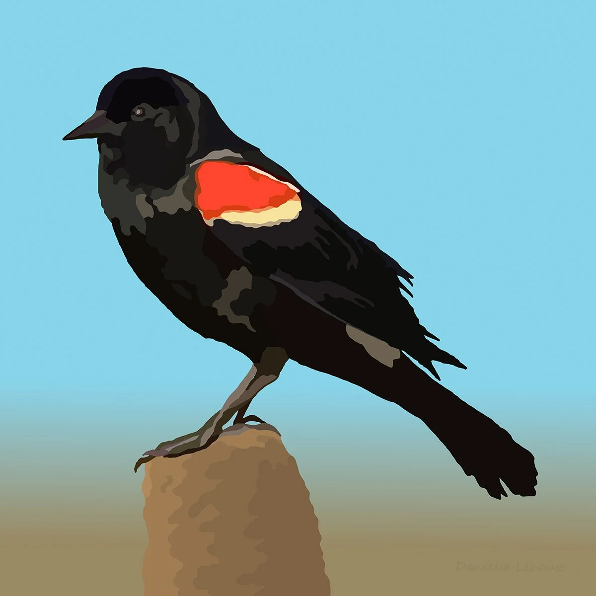Red-winged Blackbird Print