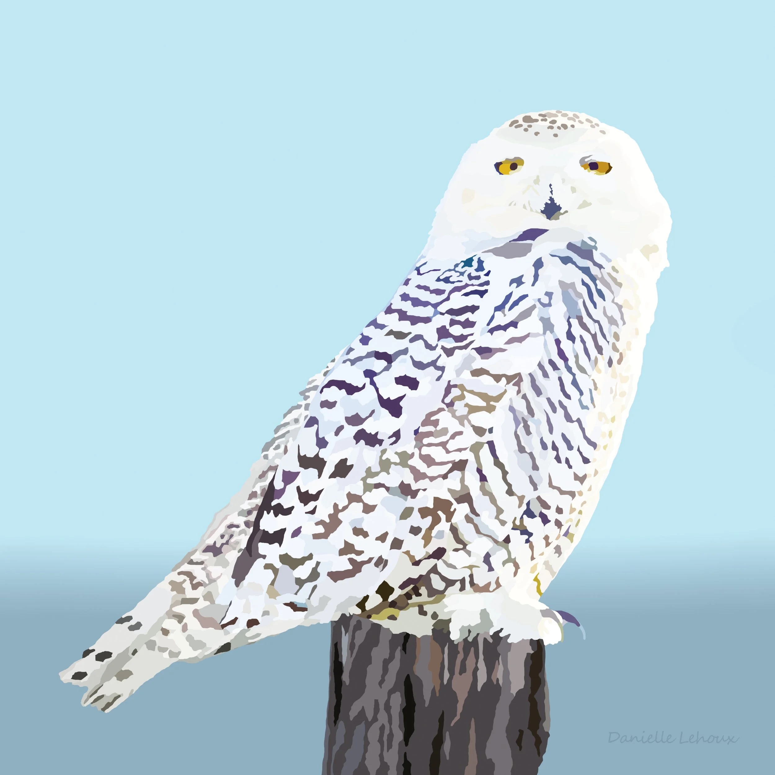 Snowy Owl Print