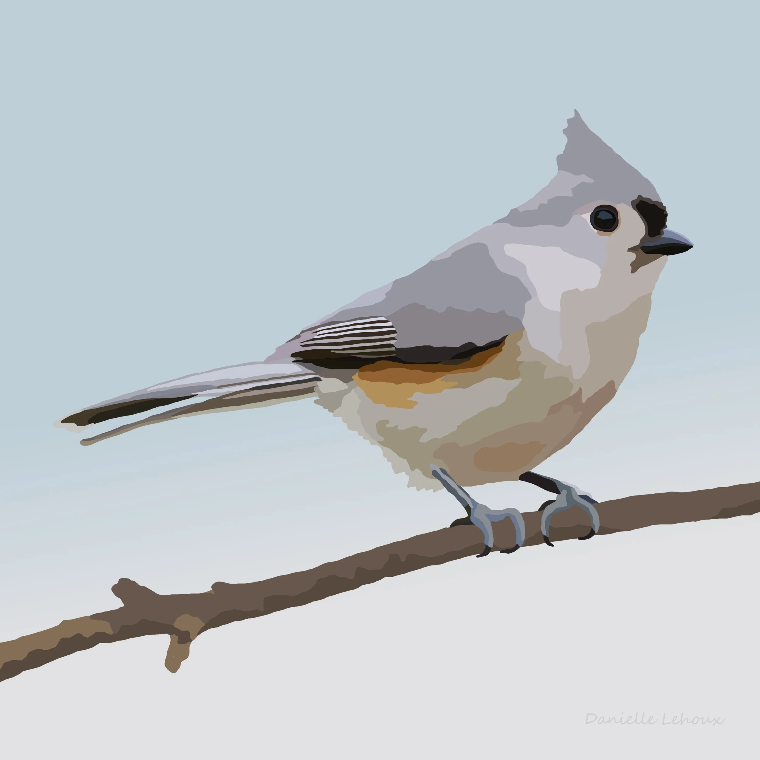 Tufted Titmouse Print
