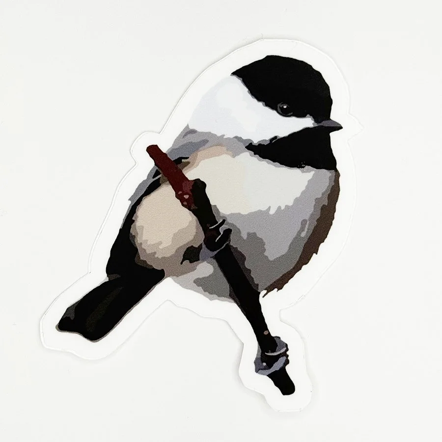 Black-capped Chickadee Vinyl Decal, Waterproof & UV-Resistant