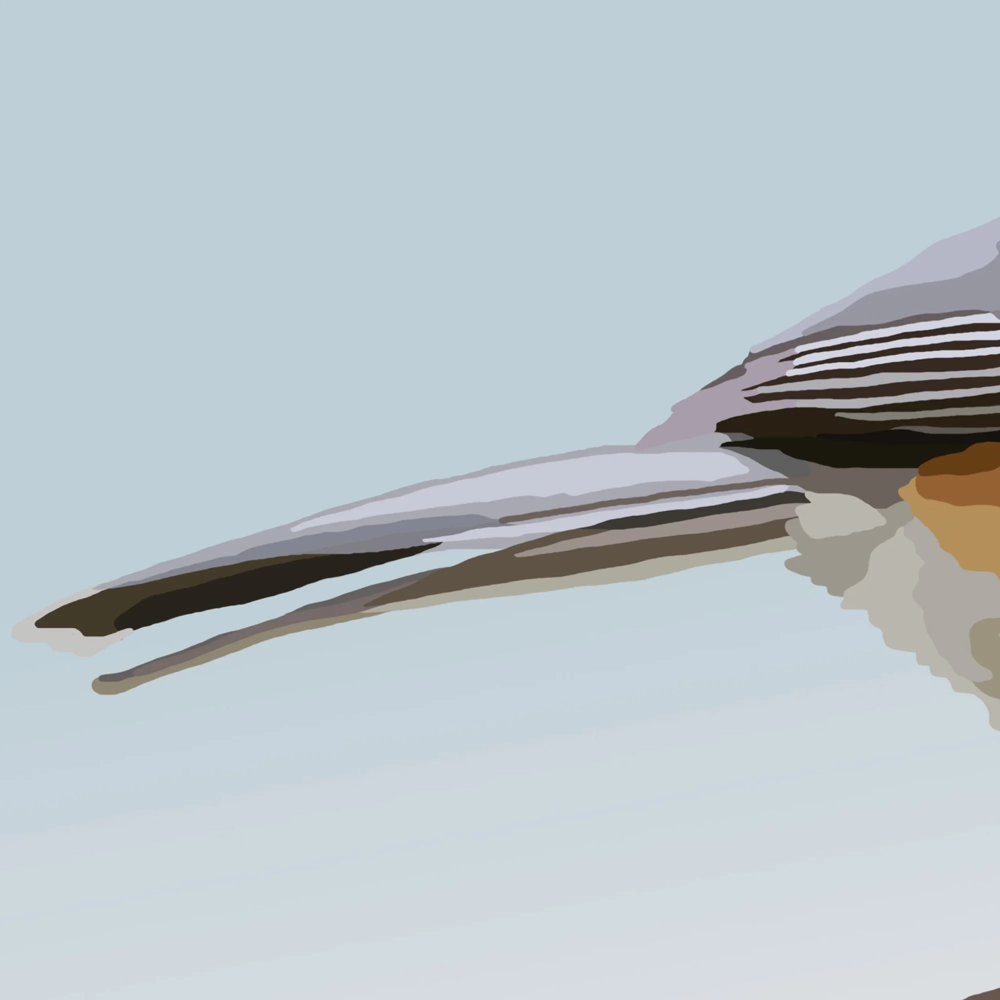 Titmouse Detail 3.jpg