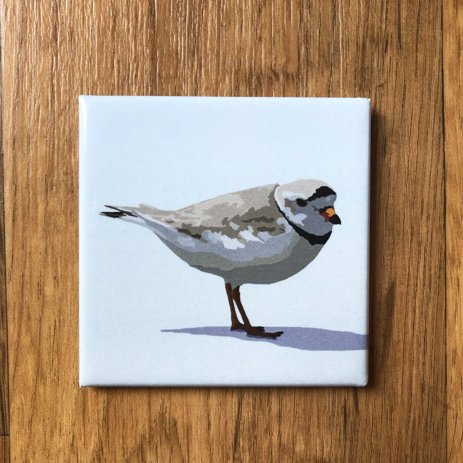 Piping Plover  | 2.5x2.5" Glossy Durable Fridge Magnet