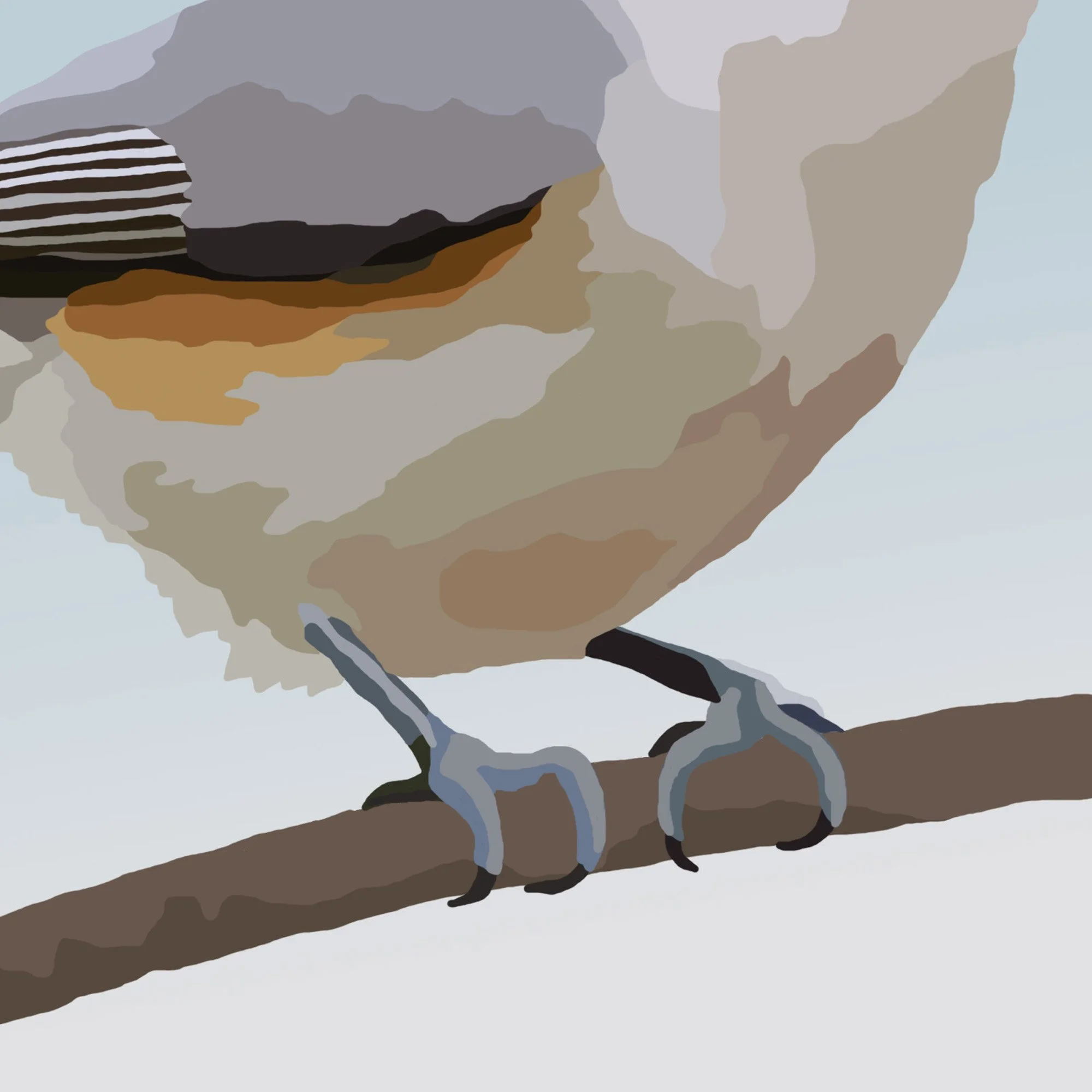 Titmouse Detail 2.jpg