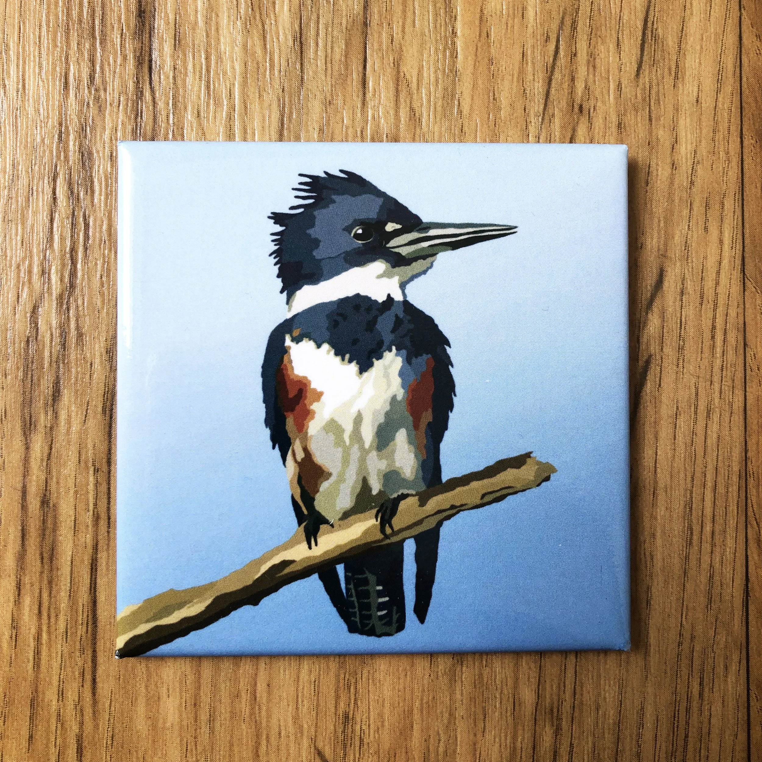 Belted Kingfisher  | 2.5x2.5" Glossy Durable Fridge Magnet
