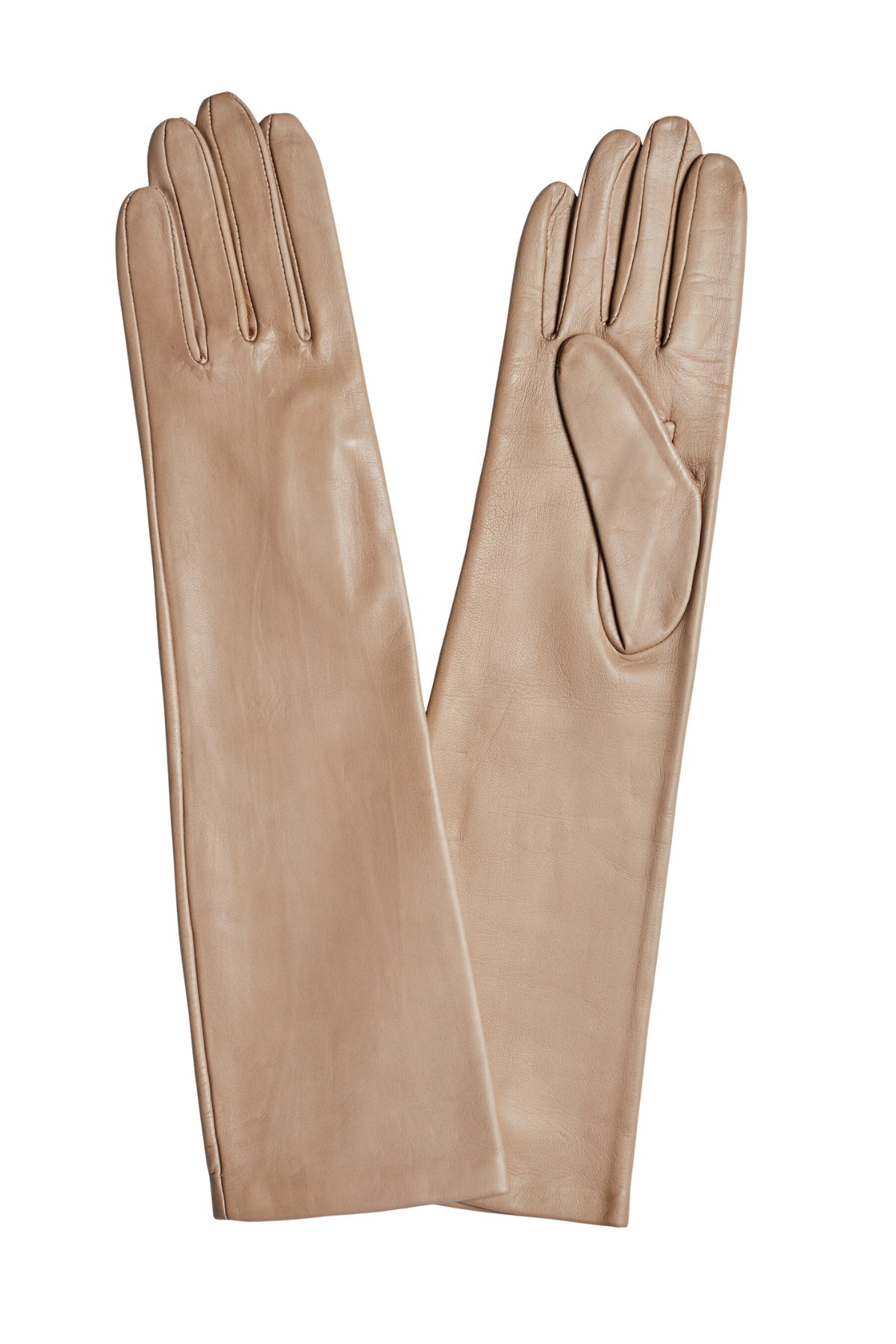 5.png