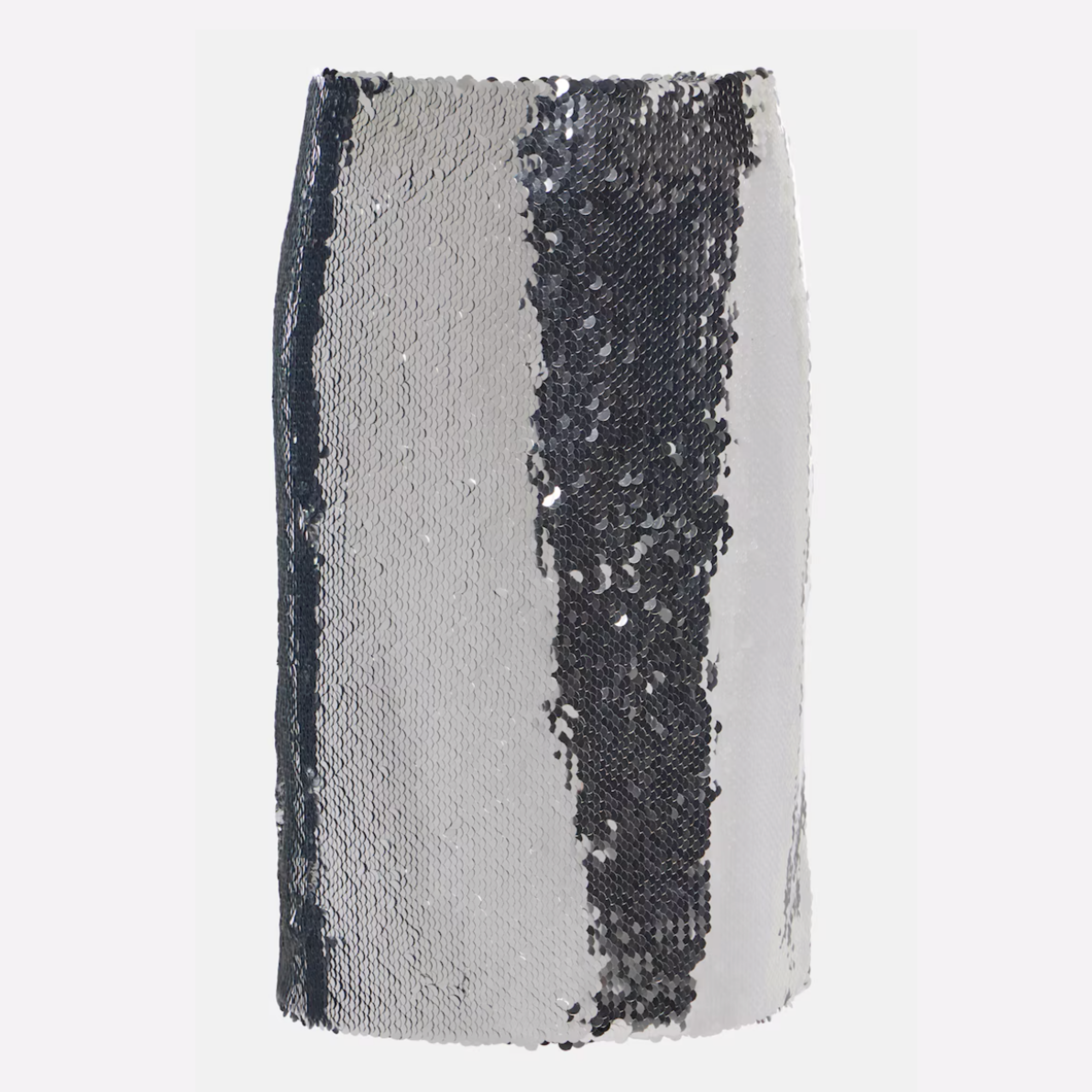 Sequin Skirt