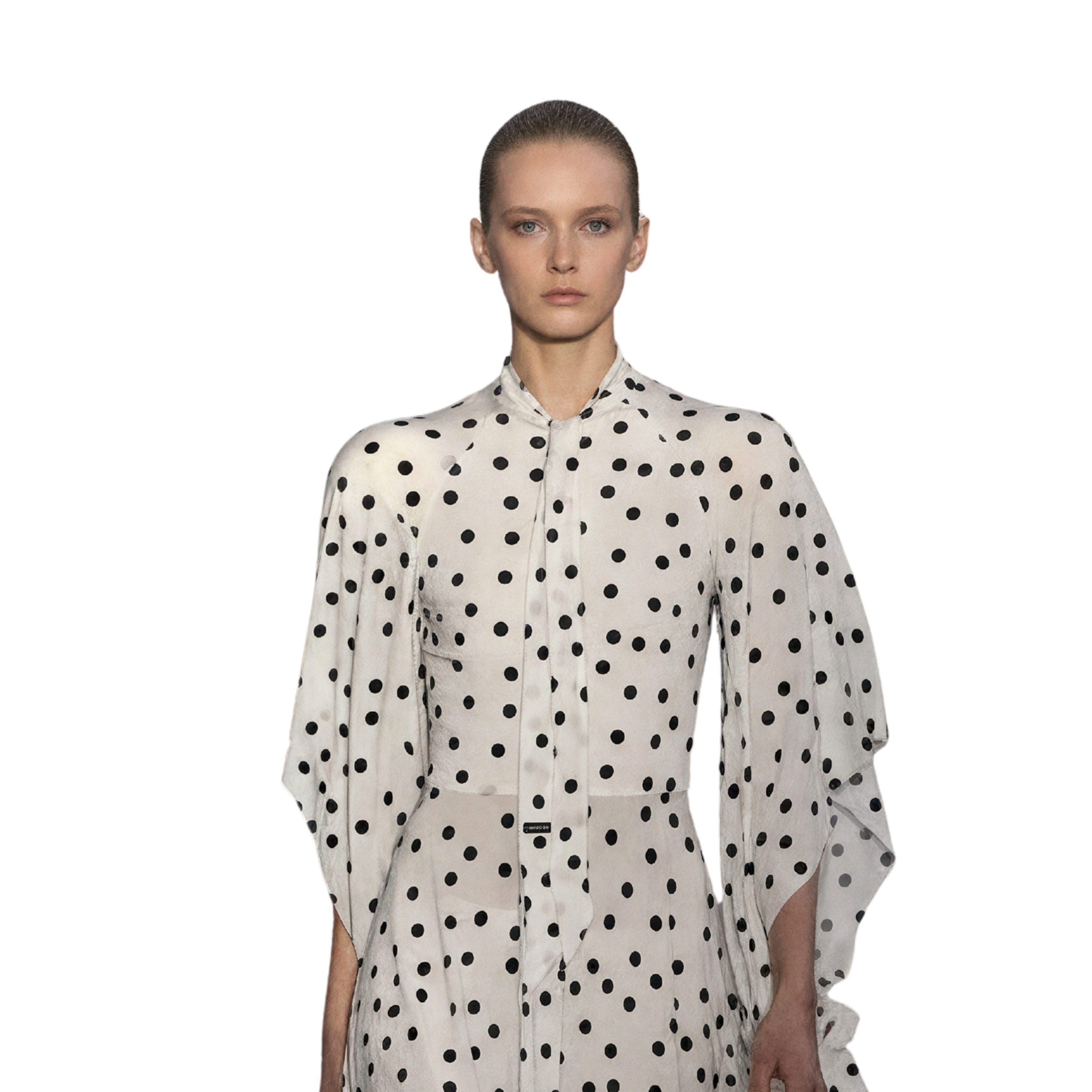 The White Polka Dot Blouse