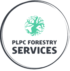 Plantation and Native Forestry Services