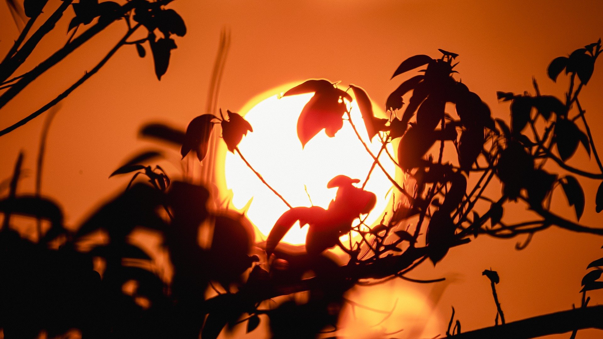 New year. First light over Virgin Gorda.
Wouldn&rsquo;t want to start it anywhere else.

Photography By - Alton Bertie
#VirginGorda #BritishVirginIslands #LuxuryVilla #CaribbeanTravel #QuietLuxury