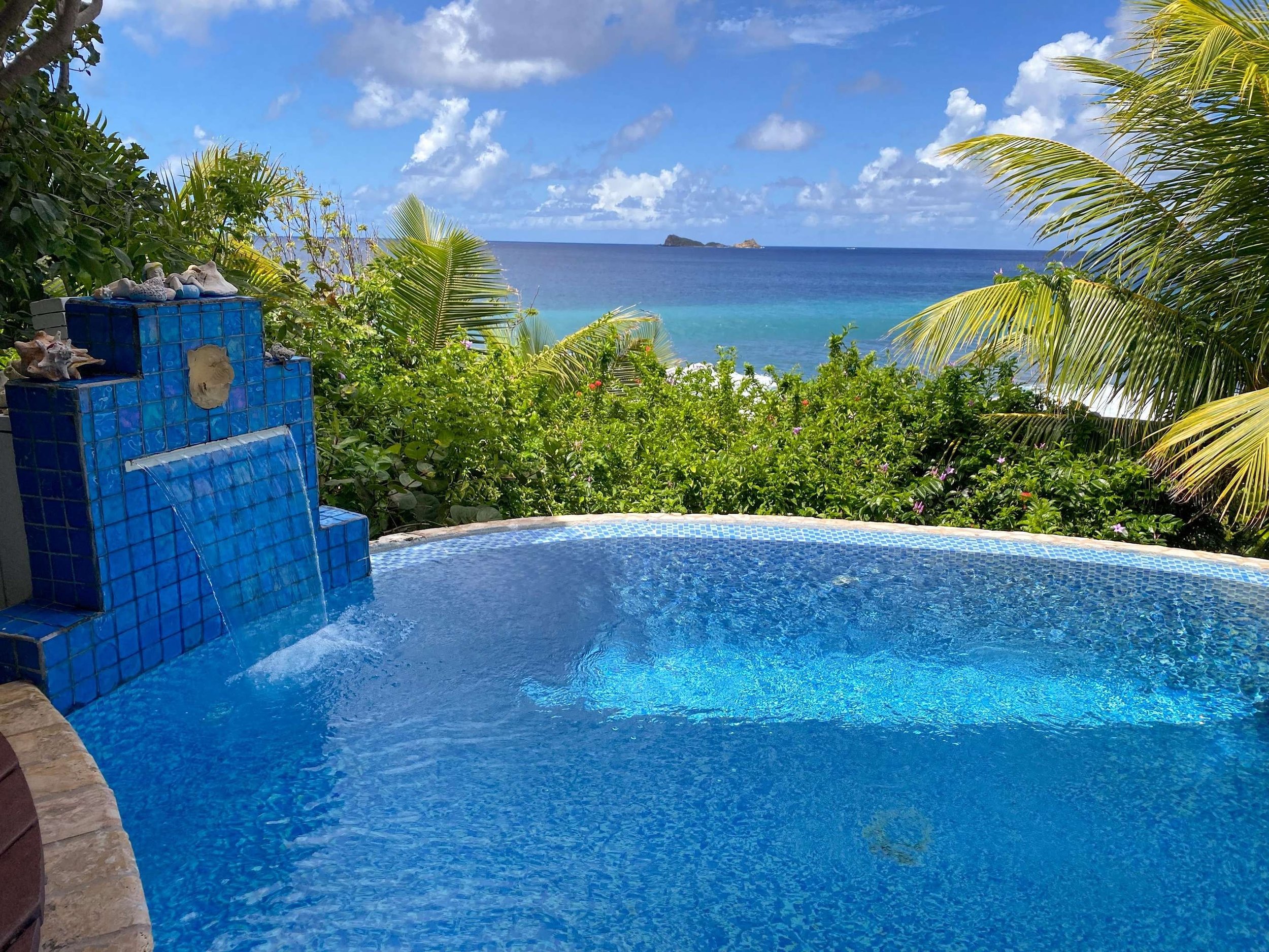 Ocean view from a poolside with blue tile fountain, surrounded by lush green tropical plants and palm trees